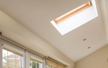 Bidlake conservatory roof insulation companies