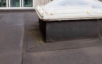 disadvantages of Bidlake flat roofs