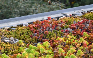 the cost of Bidlake green roof installation