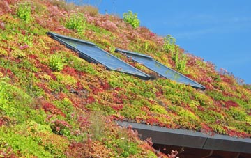 Bidlake living roof systems