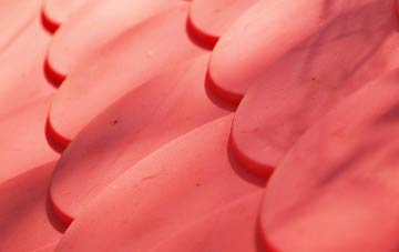 Bidlake plastic roof costs