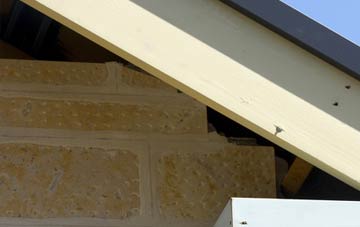 soffit repair Bidlake